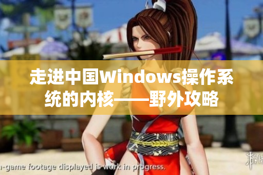 走进中国Windows操作系统的内核——野外攻略