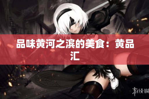 品味黄河之滨的美食：黄品汇