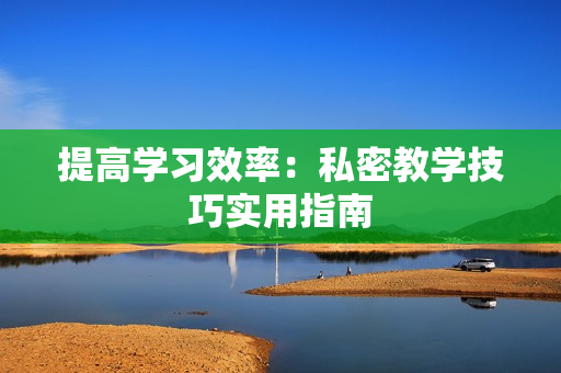提高学习效率：私密教学技巧实用指南
