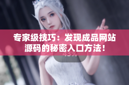 专家级技巧：发现成品网站源码的秘密入口方法！