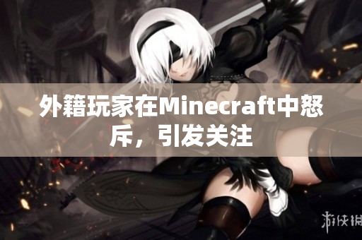 外籍玩家在Minecraft中怒斥，引发关注