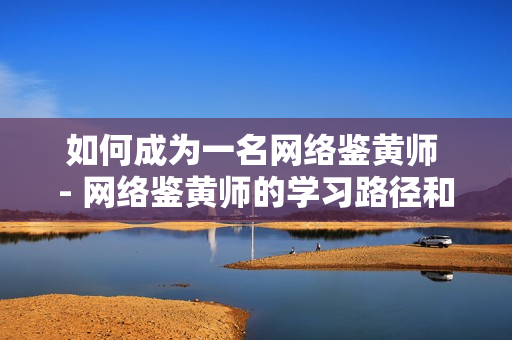 如何成为一名网络鉴黄师 - 网络鉴黄师的学习路径和工作介绍