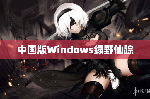 中国版Windows绿野仙踪