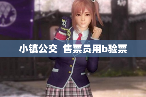 小镇公交  售票员用b验票