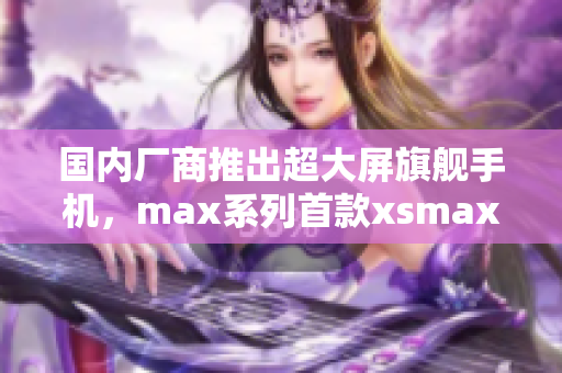 国内厂商推出超大屏旗舰手机，max系列首款xsmax震撼上市