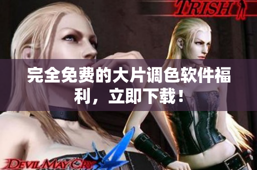 完全免费的大片调色软件福利，立即下载！
