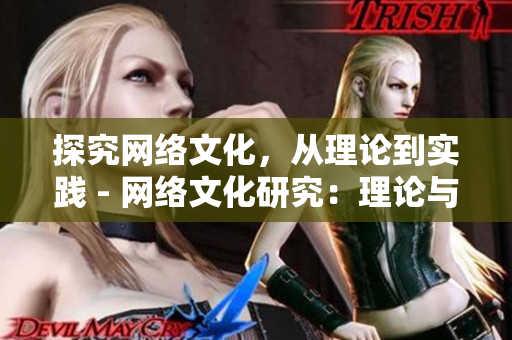 探究网络文化，从理论到实践 - 网络文化研究：理论与现实