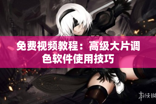 免费视频教程：高级大片调色软件使用技巧
