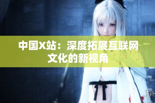 中国X站：深度拓展互联网文化的新视角