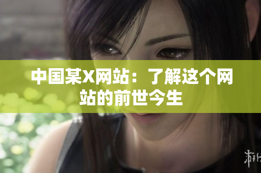 中国某X网站：了解这个网站的前世今生