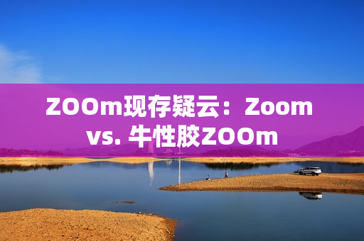 ZOOm现存疑云：Zoom vs. 牛性胶ZOOm