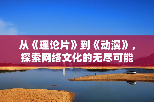 从《理论片》到《动漫》，探索网络文化的无尽可能