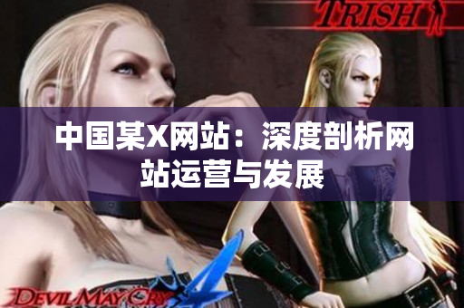 中国某X网站：深度剖析网站运营与发展