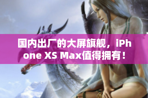 国内出厂的大屏旗舰，iPhone XS Max值得拥有！