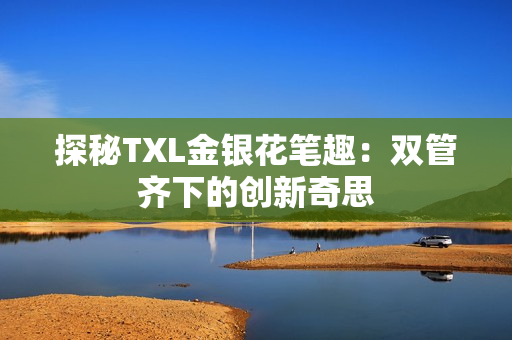 探秘TXL金银花笔趣：双管齐下的创新奇思