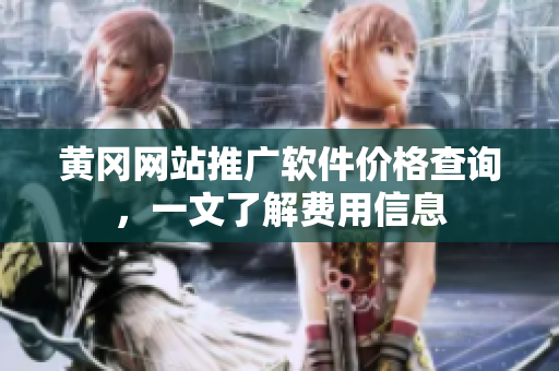 黄冈网站推广软件价格查询，一文了解费用信息