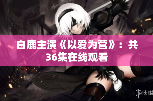 白鹿主演《以爱为营》：共36集在线观看