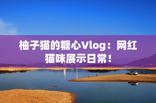 柚子猫的糖心Vlog：网红猫咪展示日常！
