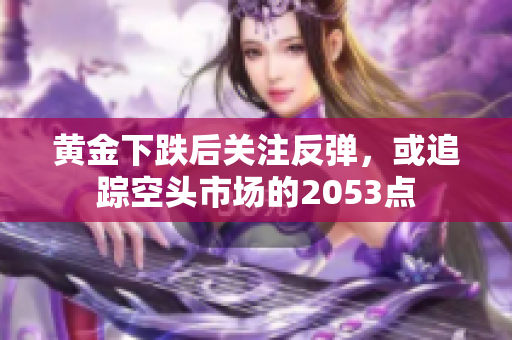 黄金下跌后关注反弹，或追踪空头市场的2053点