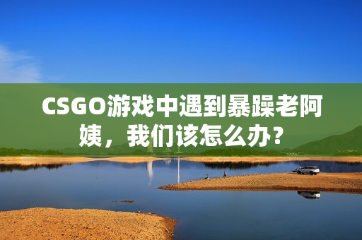 CSGO游戏中遇到暴躁老阿姨，我们该怎么办？