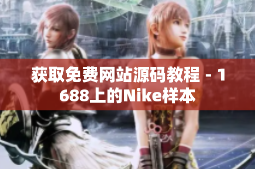 获取免费网站源码教程 - 1688上的Nike样本