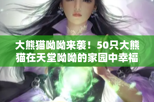 大熊猫呦呦来袭！50只大熊猫在天堂呦呦的家园中幸福成长