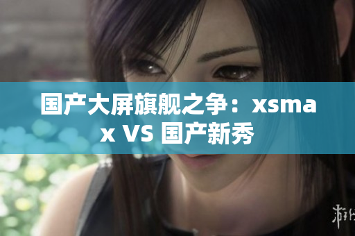 国产大屏旗舰之争：xsmax VS 国产新秀