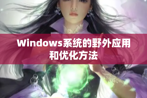 Windows系统的野外应用和优化方法