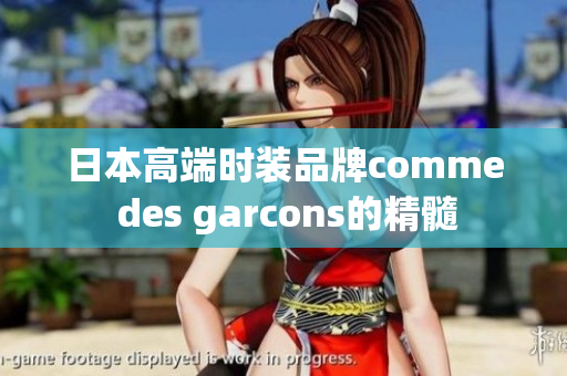 日本高端时装品牌comme des garcons的精髓