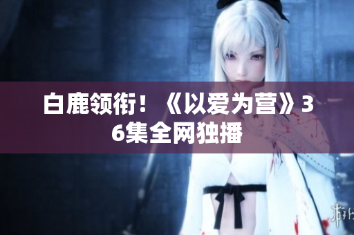 白鹿领衔！《以爱为营》36集全网独播