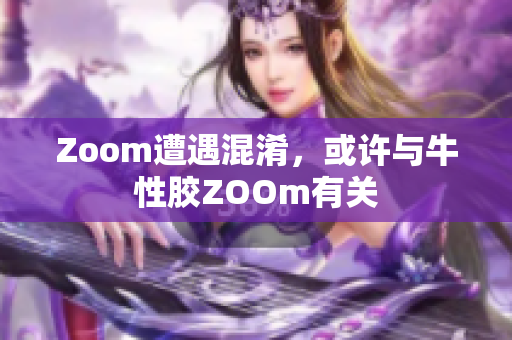 Zoom遭遇混淆，或许与牛性胶ZOOm有关