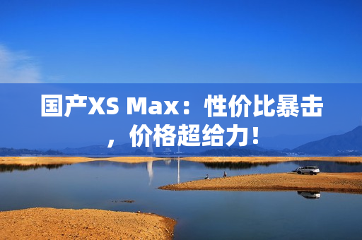 国产XS Max：性价比暴击，价格超给力！