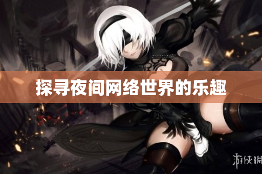 探寻夜间网络世界的乐趣