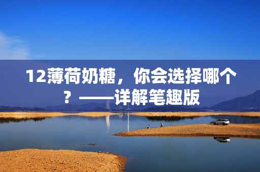 12薄荷奶糖，你会选择哪个？——详解笔趣版
