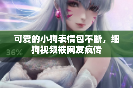 可爱的小狗表情包不断，细狗视频被网友疯传