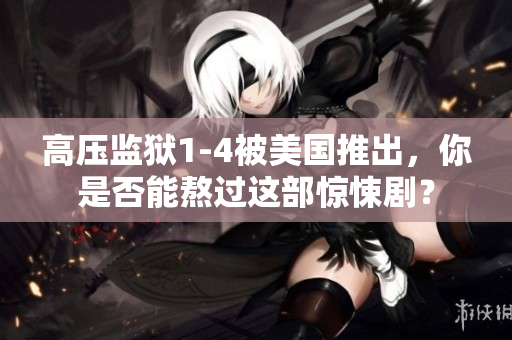 高压监狱1-4被美国推出，你是否能熬过这部惊悚剧？