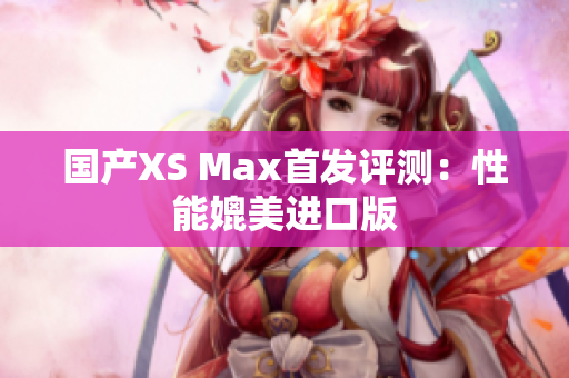 国产XS Max首发评测：性能媲美进口版