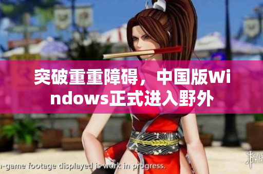 突破重重障碍，中国版Windows正式进入野外