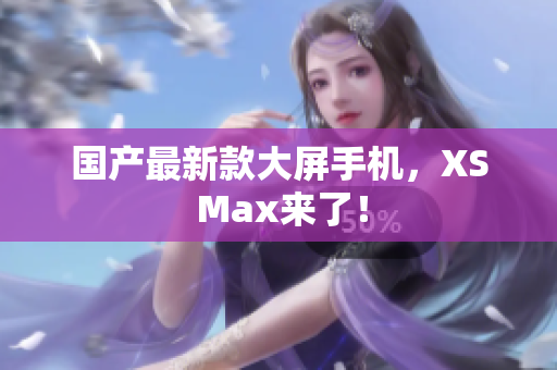 国产最新款大屏手机，XS Max来了！