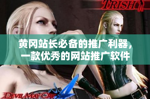 黄冈站长必备的推广利器，一款优秀的网站推广软件