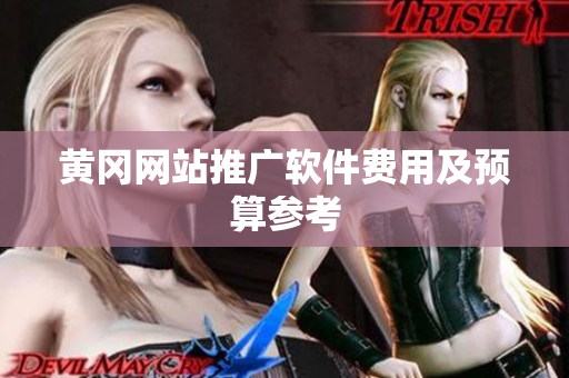 黄冈网站推广软件费用及预算参考