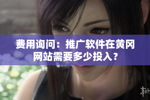 费用询问：推广软件在黄冈网站需要多少投入？