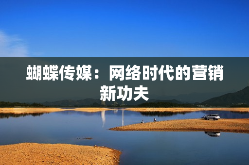 蝴蝶传媒：网络时代的营销新功夫