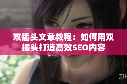 双插头文章教程：如何用双插头打造高效SEO内容