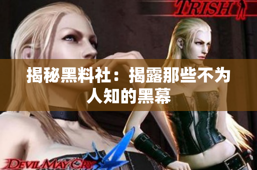 揭秘黑料社：揭露那些不为人知的黑幕