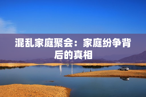 混乱家庭聚会：家庭纷争背后的真相