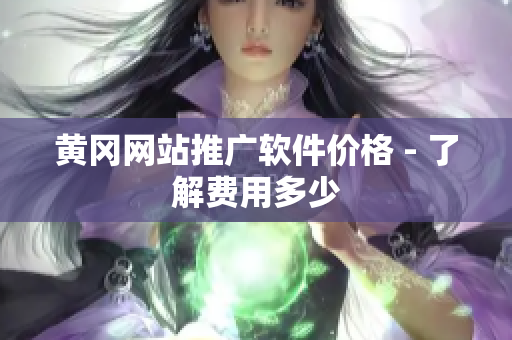 黄冈网站推广软件价格 - 了解费用多少