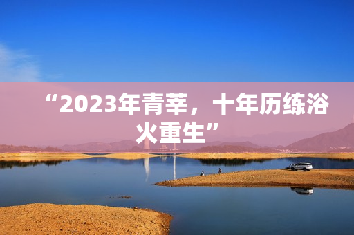 “2023年青莘，十年历练浴火重生”