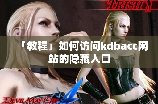 「教程」如何访问kdbacc网站的隐藏入口
