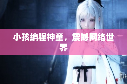 小孩编程神童，震撼网络世界